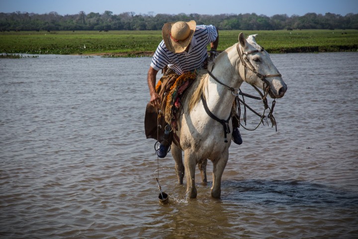 Pantanal - Photo by Pantanal